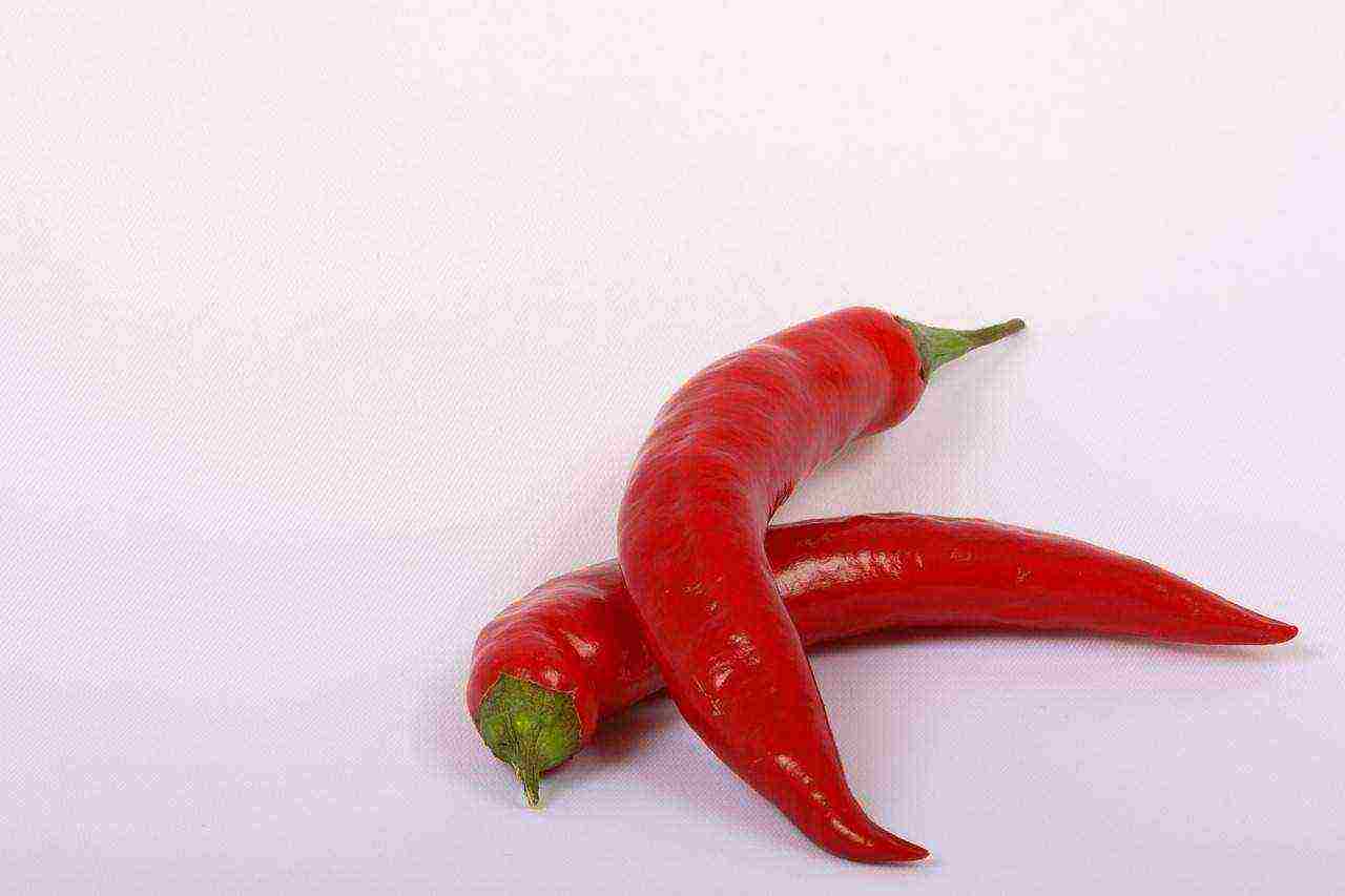 the best varieties of semi-hot peppers