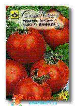 the best varieties of tomato f1