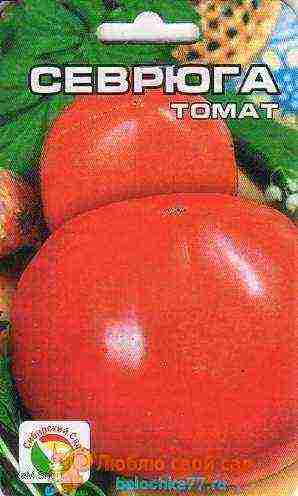 the best varieties of tomato f1