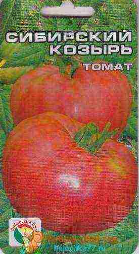 the best varieties of tomato f1