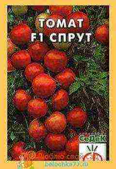 the best varieties of tomato f1