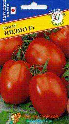 the best varieties of tomato f1