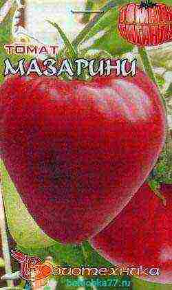 the best varieties of tomato f1