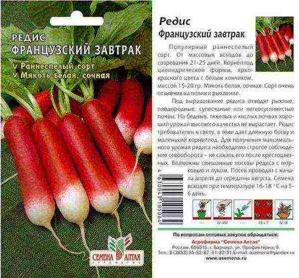 the best varieties of early radish