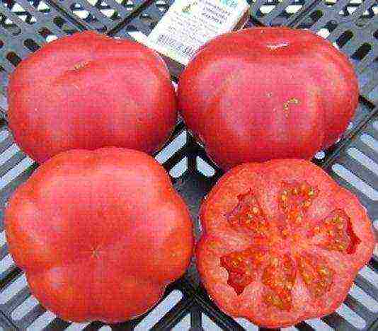 the best varieties of ribbed tomatoes