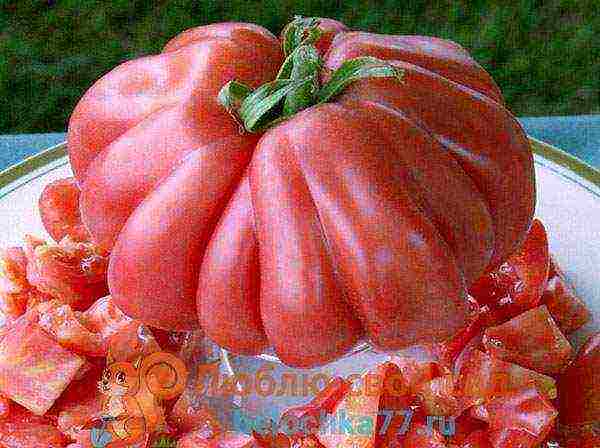 the best varieties of pink tomato