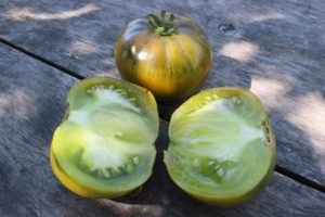 the best varieties of sugar tomatoes