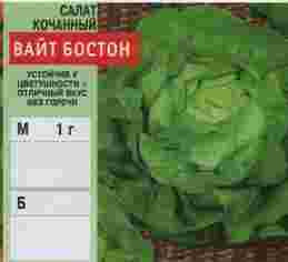 the best varieties of lettuce seeds