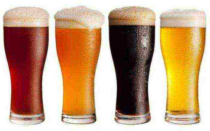 the best varieties of light beer
