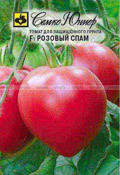 the best varieties of tomatoes semko