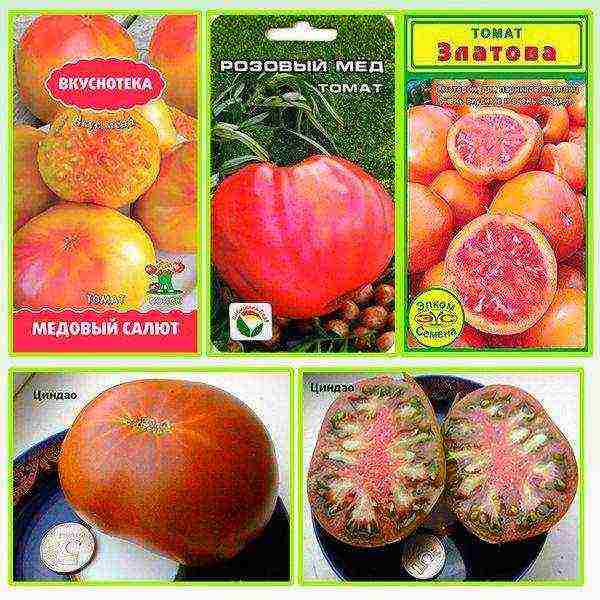 the best varieties of sweet tomatoes