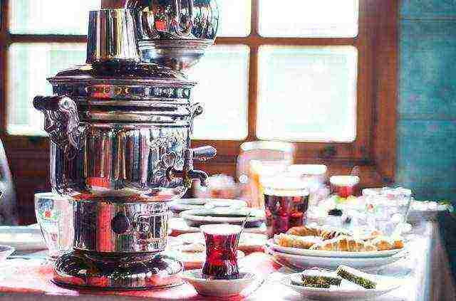 najbolje sorte turskog čaja