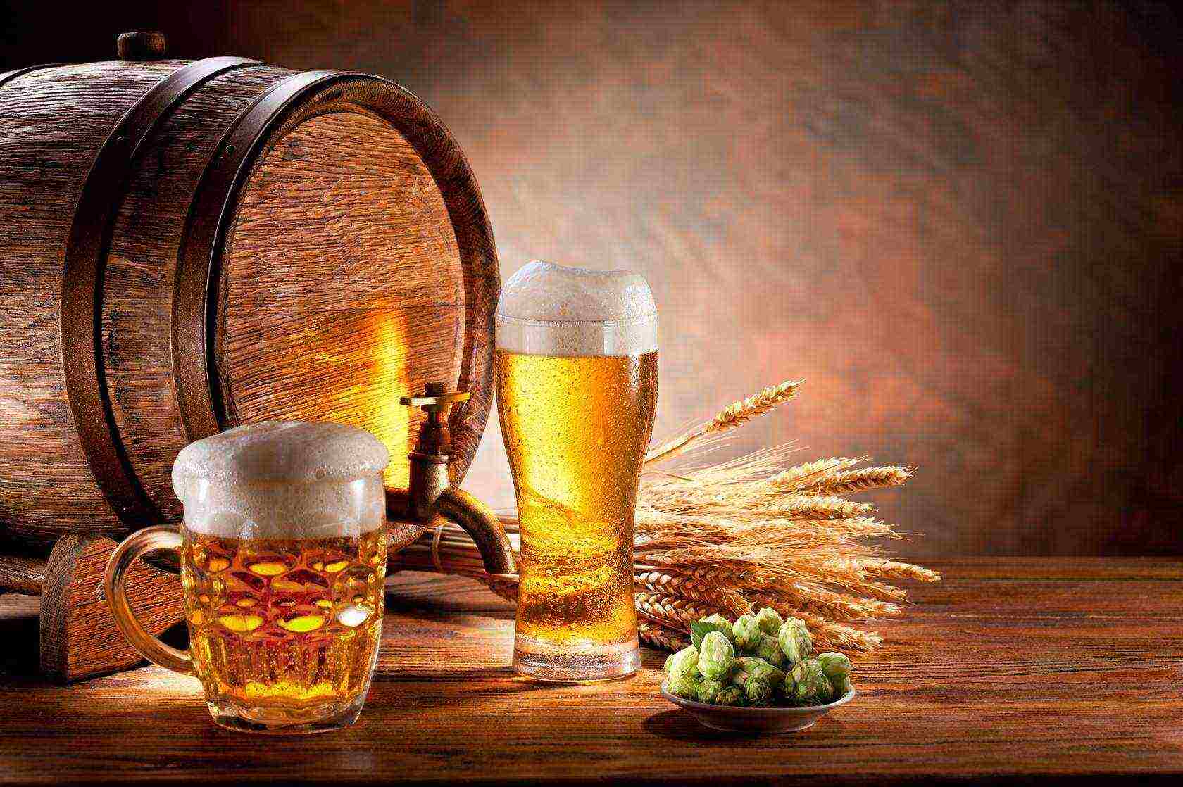 the best varieties of Ukrainian beer