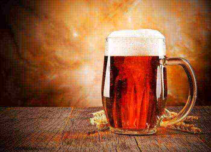 the best varieties of Ukrainian beer