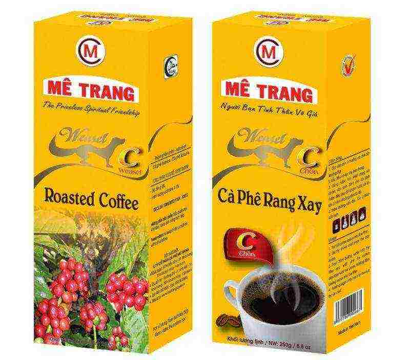 أفضل أنواع القهوة الفيتنامية