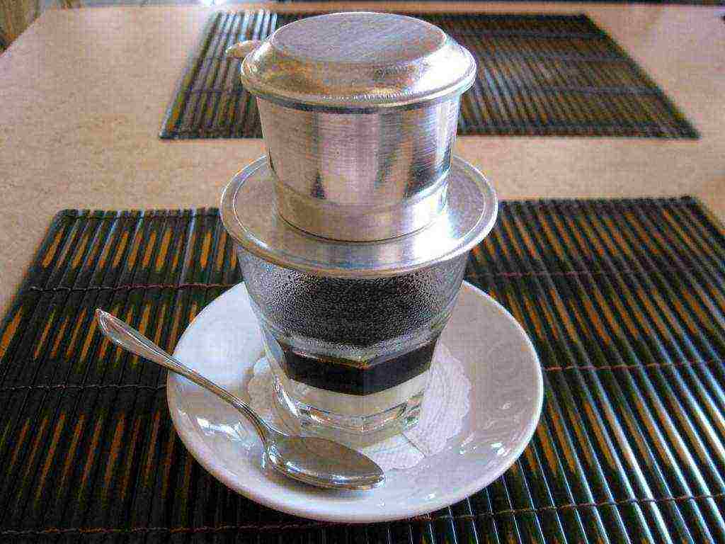 the best varieties of Vietnamese coffee