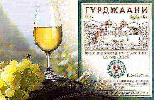 the best varieties of wines of Georgia