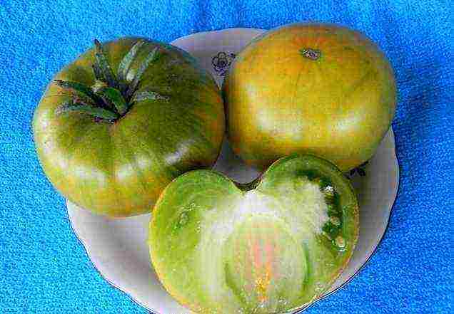 the best varieties of green tomatoes