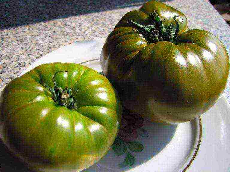 the best varieties of green tomatoes