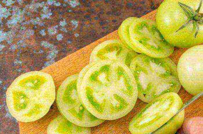 the best varieties of green tomatoes