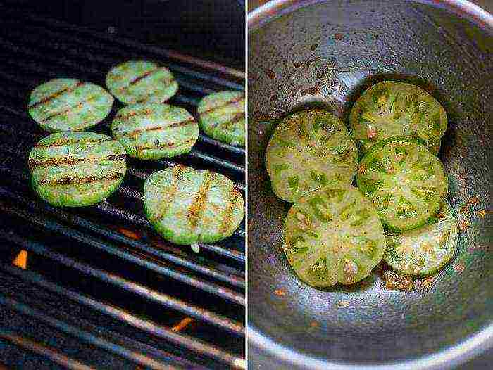 the best varieties of green tomatoes