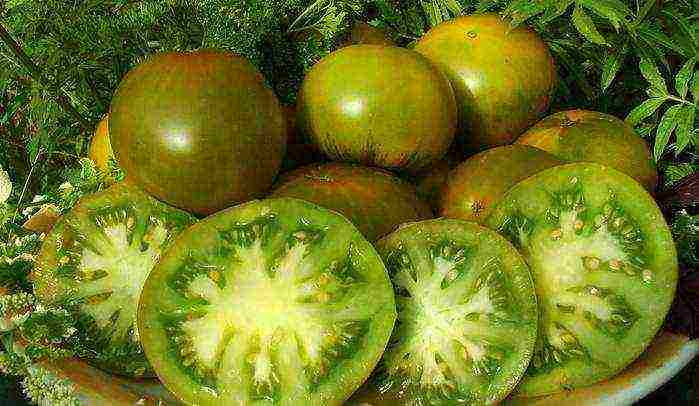 the best varieties of green tomatoes