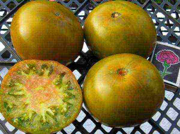 the best varieties of green tomatoes