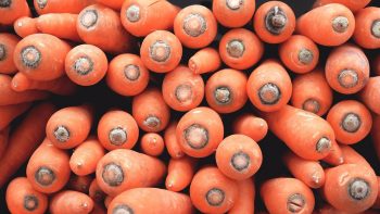 the best varieties of winter carrots