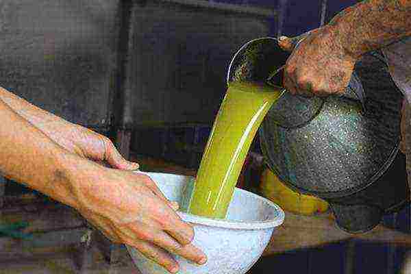 the best grade of olive oil