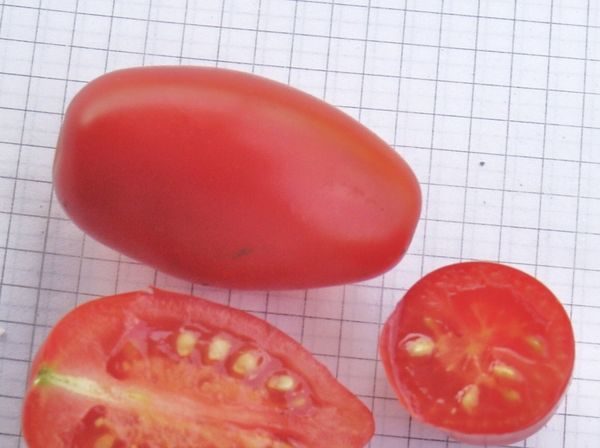 the best variety of cherry tomatoes