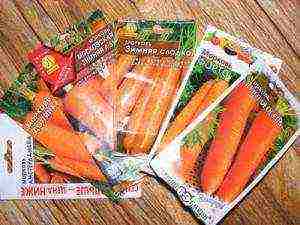 carrot seeds best varieties