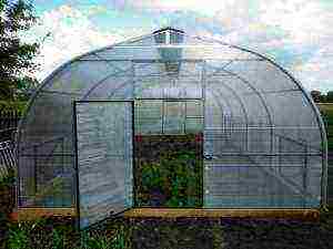 is it possible to grow strawberries in a greenhouse with cucumbers