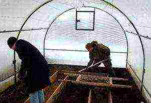 is it possible to grow cucumbers in a greenhouse all year round