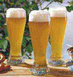 German beer the best sorts