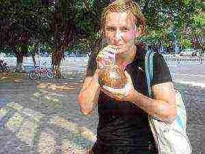 hainan island what fruits are grown on the island