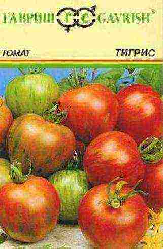 tomatoes are the best varieties of planting