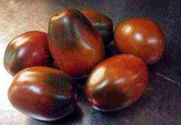 cream tomatoes best varieties