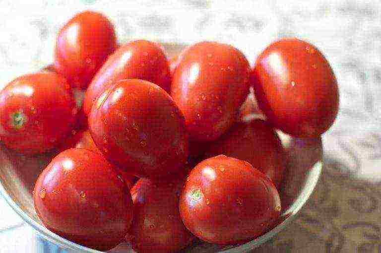 cream tomatoes best varieties