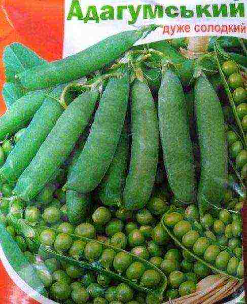 the best varieties of peas