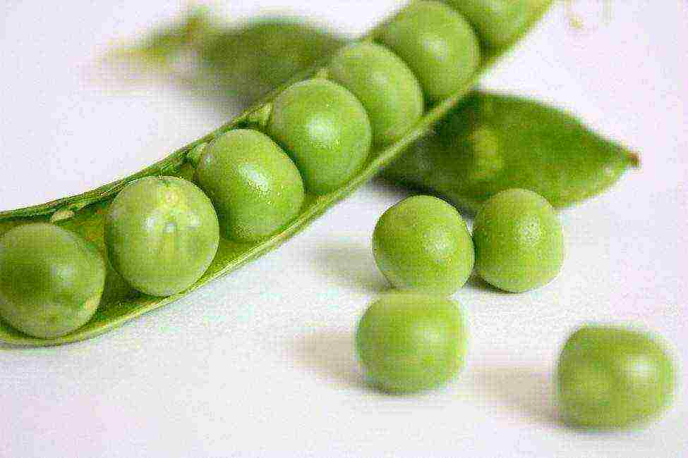 the best varieties of peas