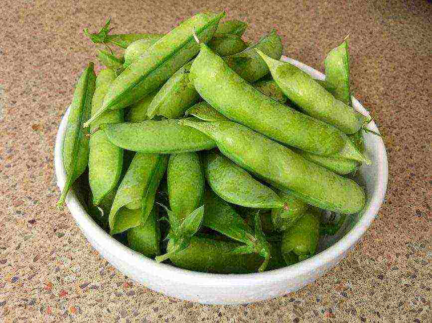 the best varieties of peas