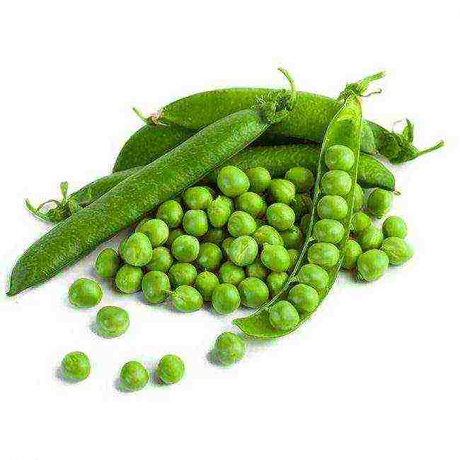 the best varieties of peas