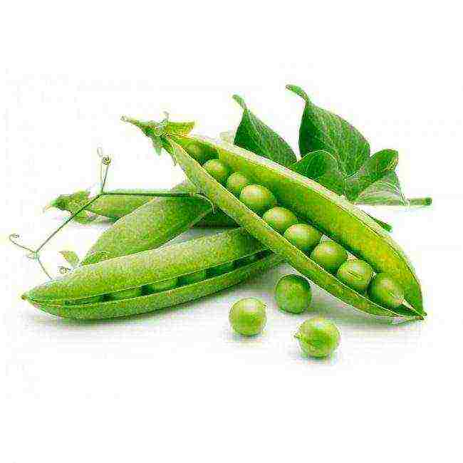 the best varieties of peas