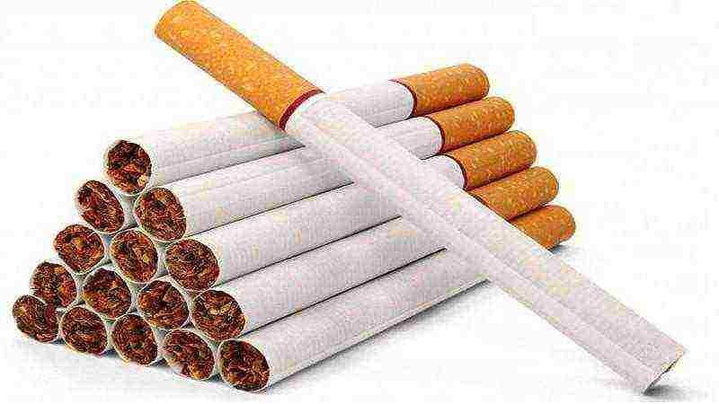 the best brands of cigarettes