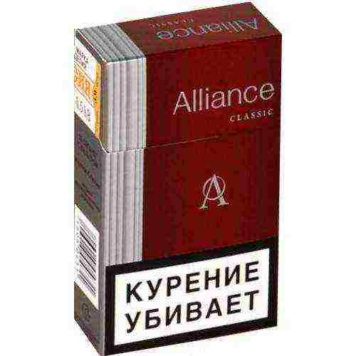 the best brands of cigarettes