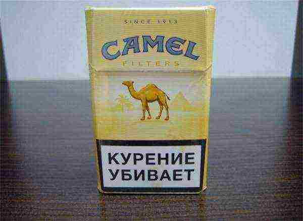 the best brands of cigarettes