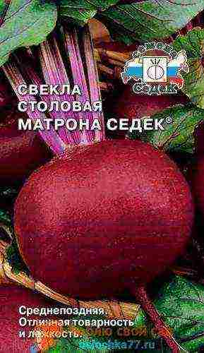 the best varieties of beetroot