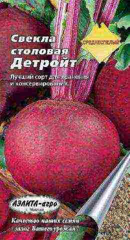 the best varieties of beetroot