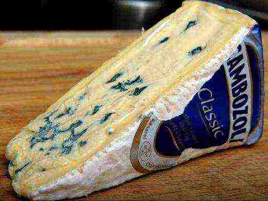 the best varieties of cheese