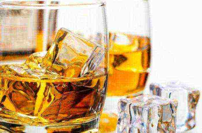 the best whiskeys